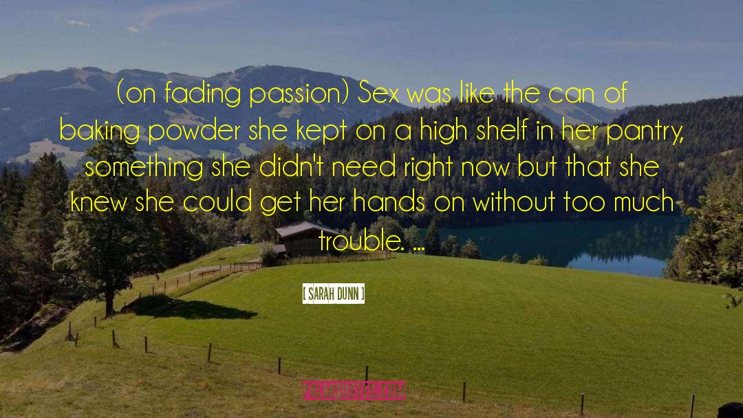 Sarah Dunn Quotes: (on fading passion) Sex was