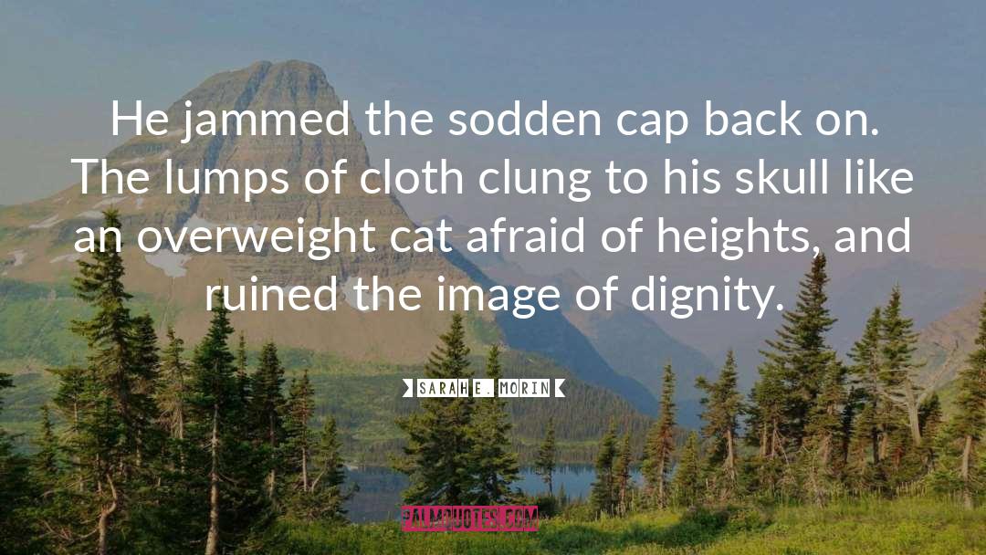 Sarah E. Morin Quotes: He jammed the sodden cap