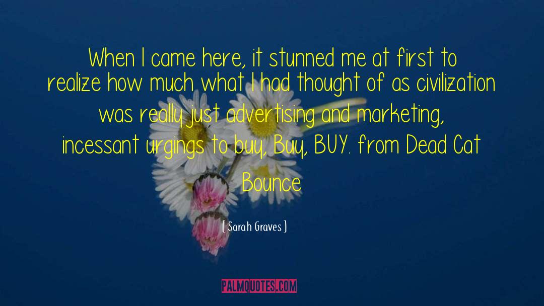 Sarah Graves Quotes: When I came here, it