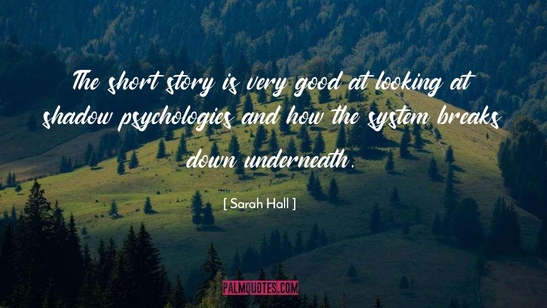 Sarah Hall Quotes: The short story is very