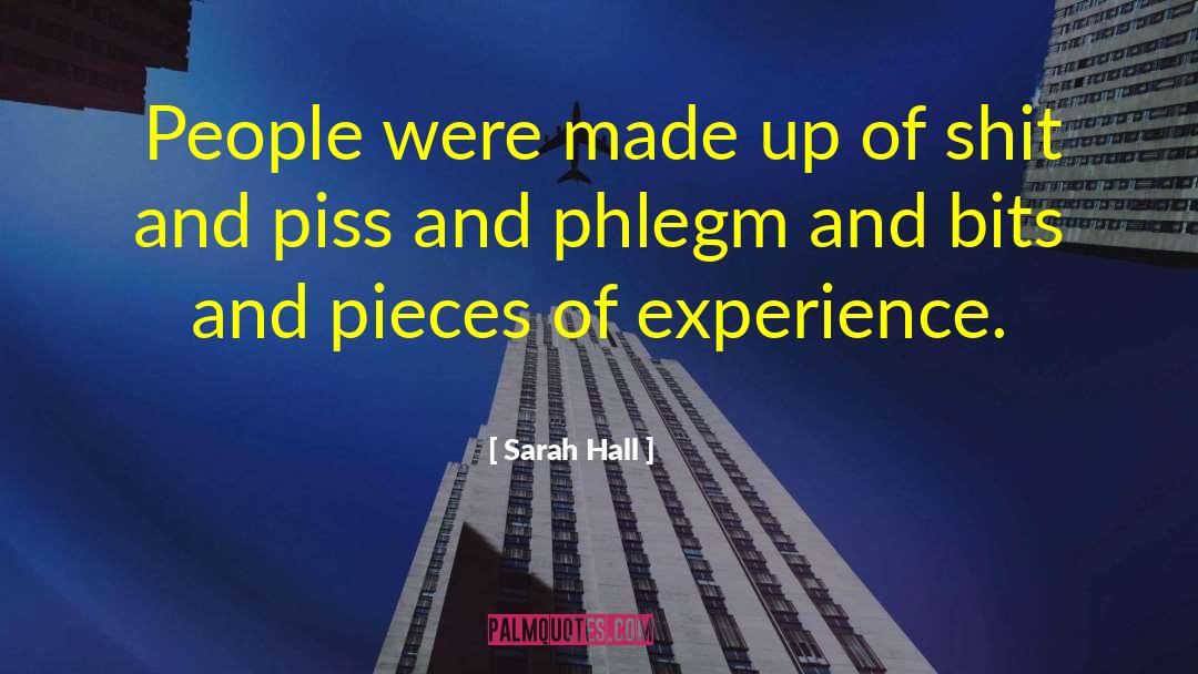 Sarah Hall Quotes: People were made up of