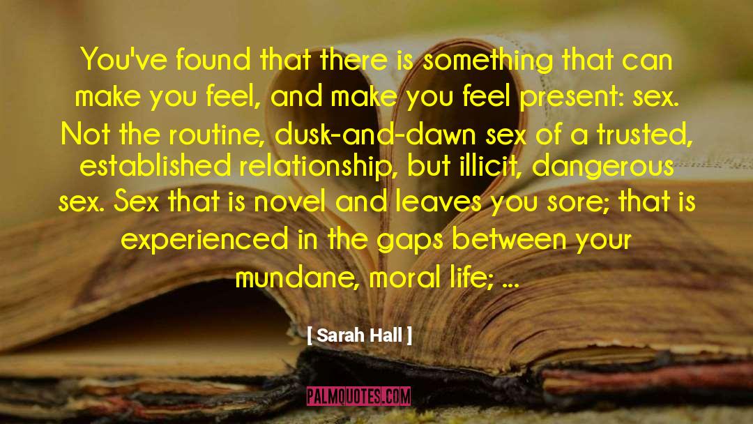 Sarah Hall Quotes: You've found that there is