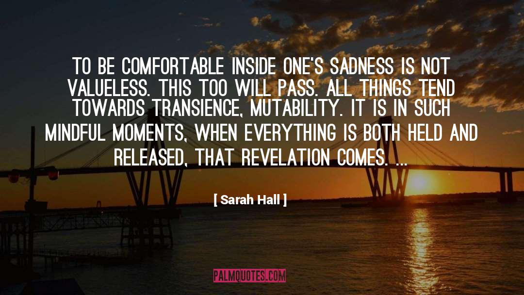 Sarah Hall Quotes: To be comfortable inside one's