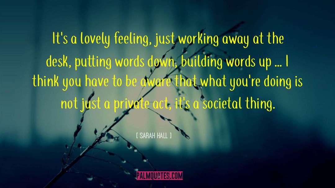 Sarah Hall Quotes: It's a lovely feeling, just