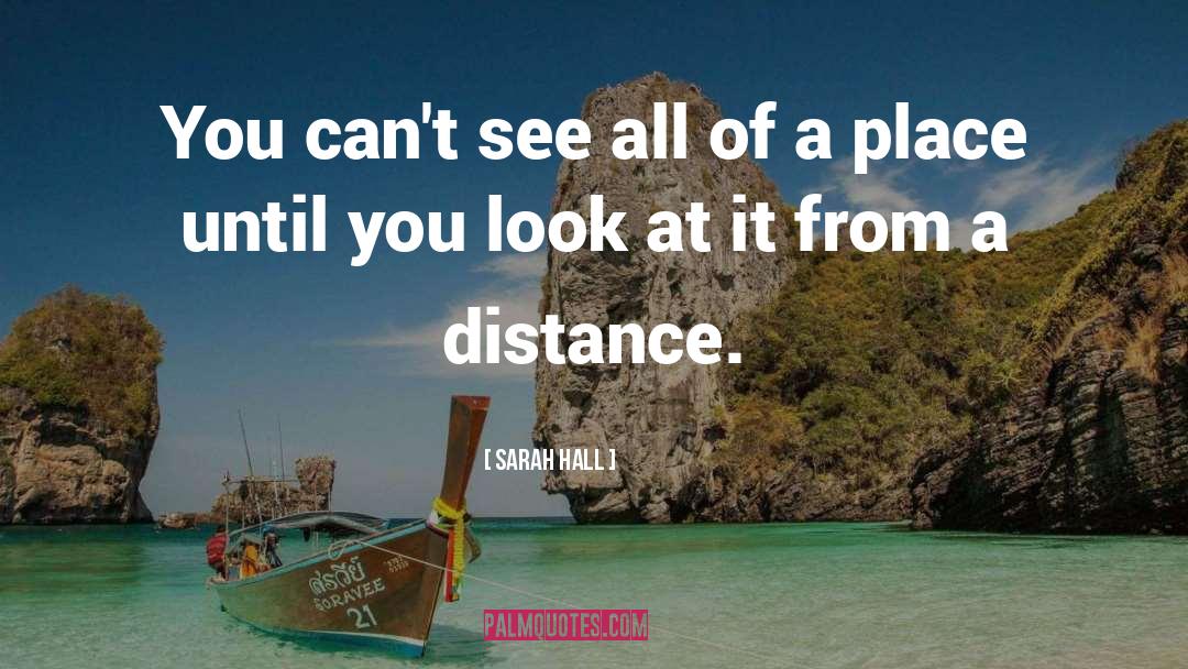 Sarah Hall Quotes: You can't see all of