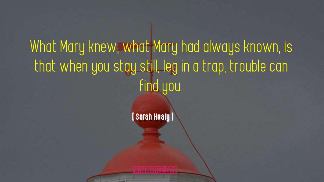 Sarah Healy Quotes: What Mary knew, what Mary