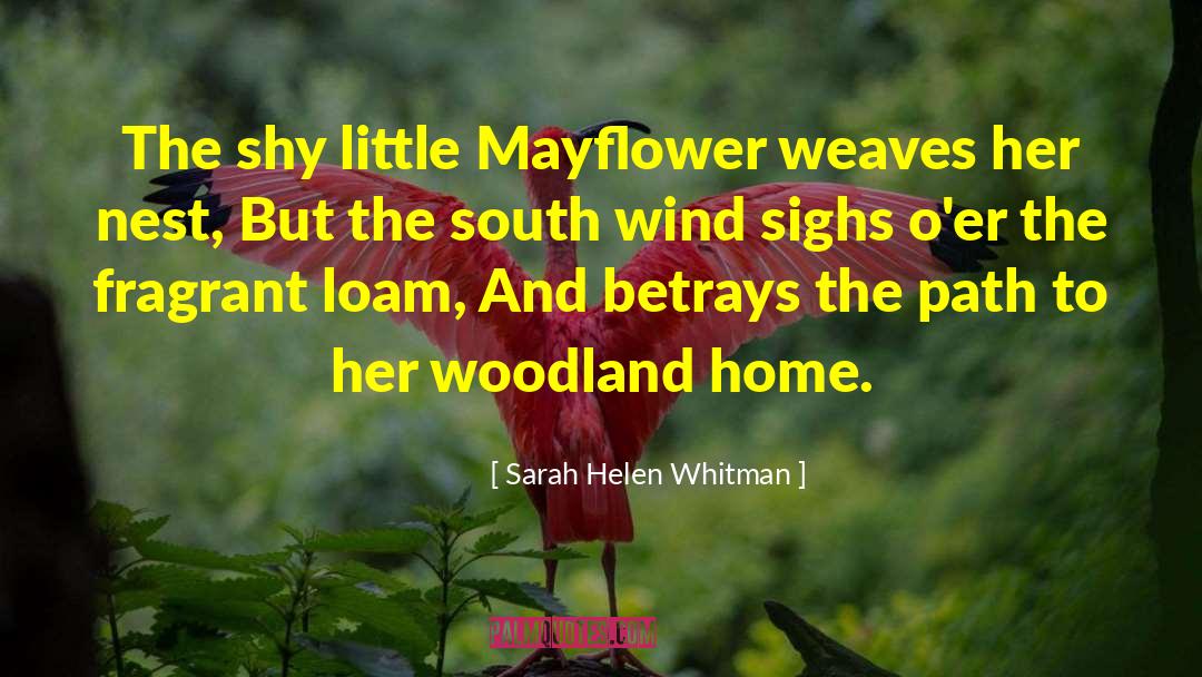 Sarah Helen Whitman Quotes: The shy little Mayflower weaves