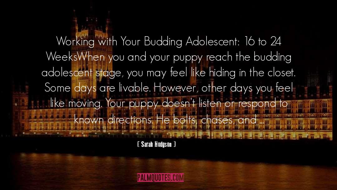 Sarah Hodgson Quotes: Working with Your Budding Adolescent: