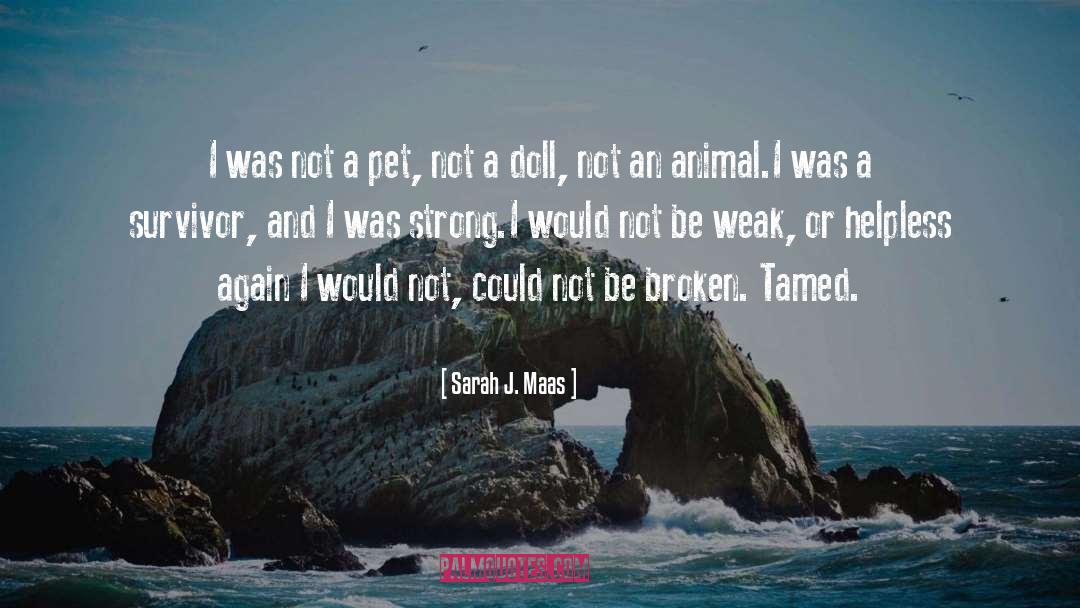 Sarah J. Maas Quotes: I was not a pet,