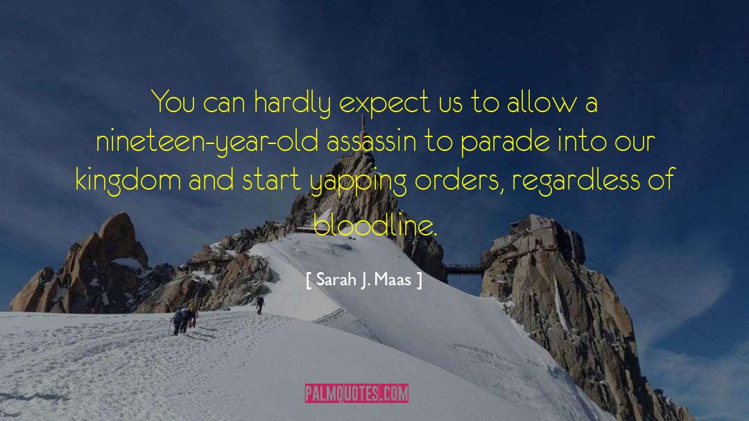 Sarah J. Maas Quotes: You can hardly expect us