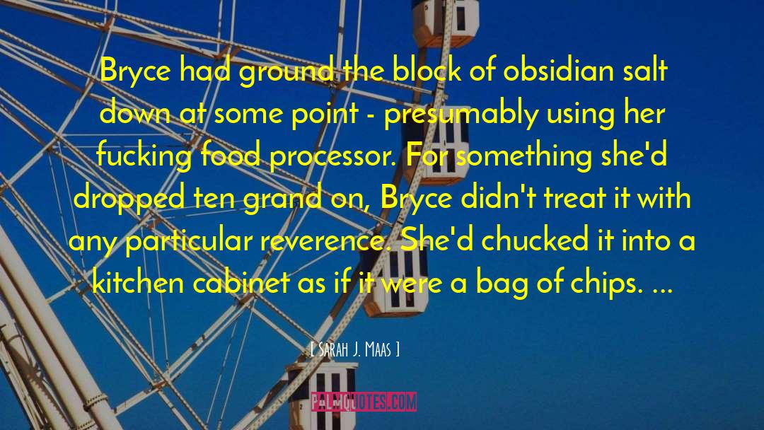 Sarah J. Maas Quotes: Bryce had ground the block