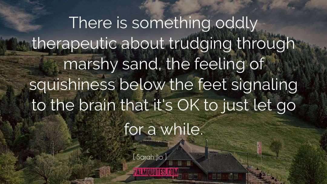 Sarah Jio Quotes: There is something oddly therapeutic