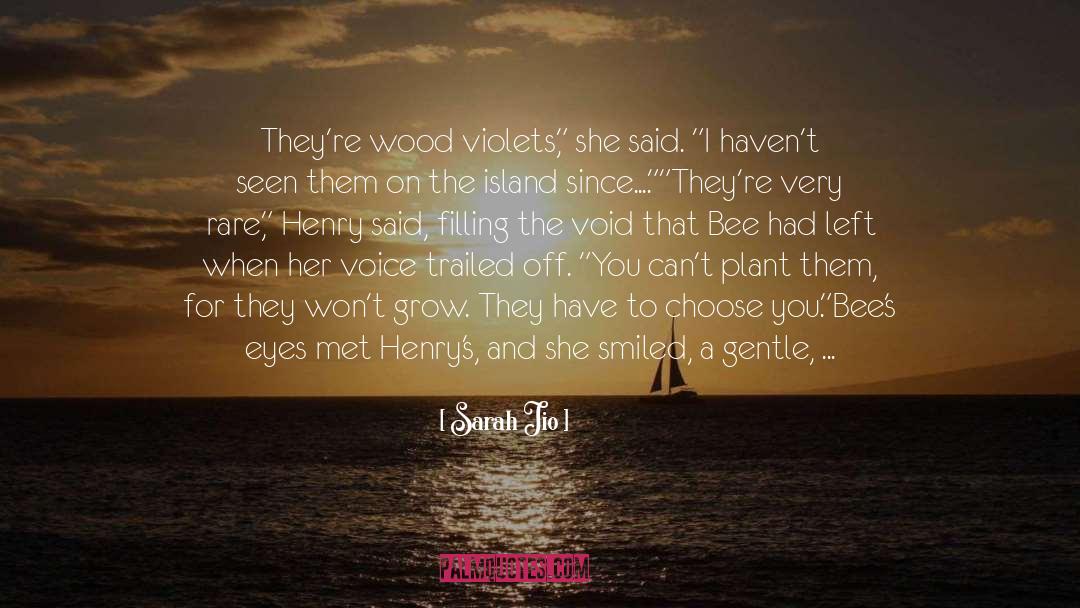 Sarah Jio Quotes: They're wood violets,