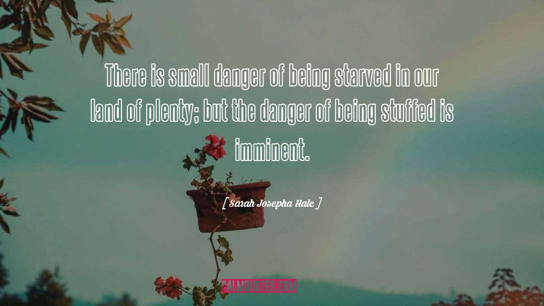 Sarah Josepha Hale Quotes: There is small danger of