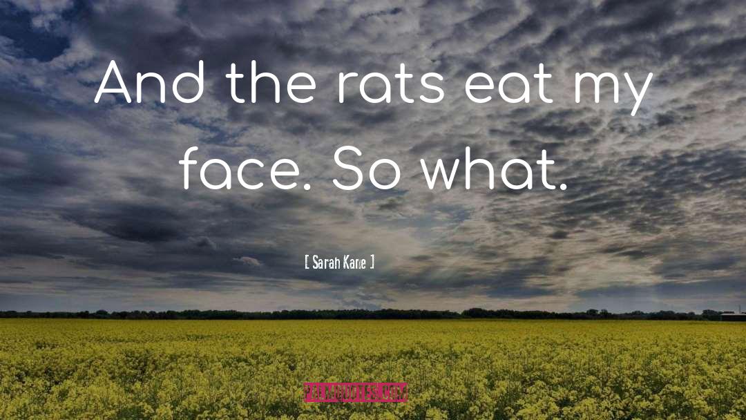 Sarah Kane Quotes: And the rats eat my