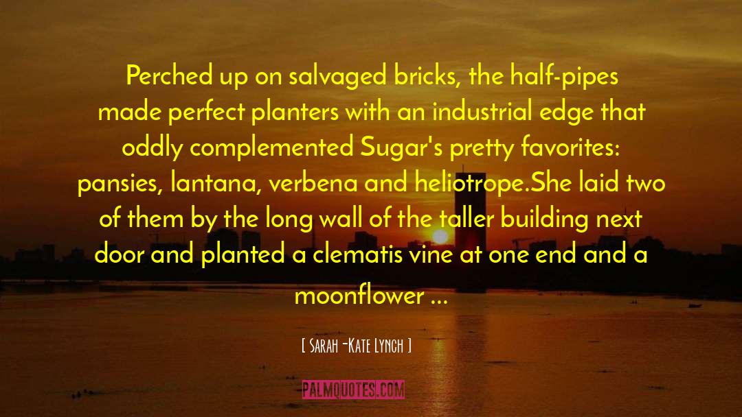 Sarah-Kate Lynch Quotes: Perched up on salvaged bricks,