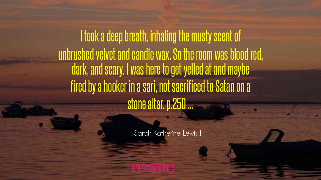 Sarah Katherine Lewis Quotes: I took a deep breath,