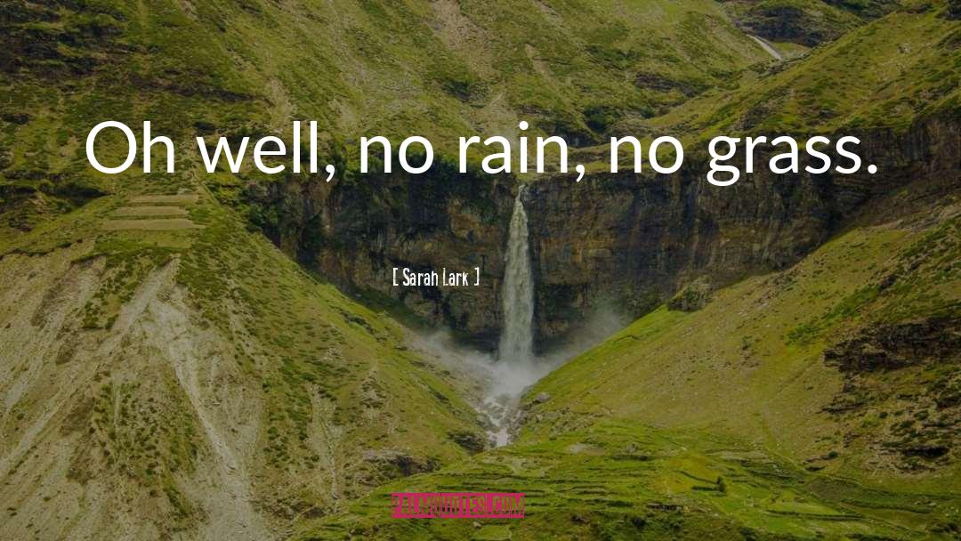 Sarah Lark Quotes: Oh well, no rain, no