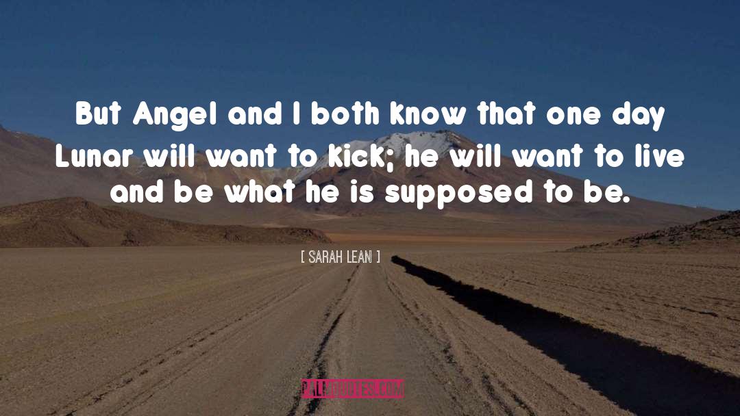 Sarah Lean Quotes: But Angel and I both