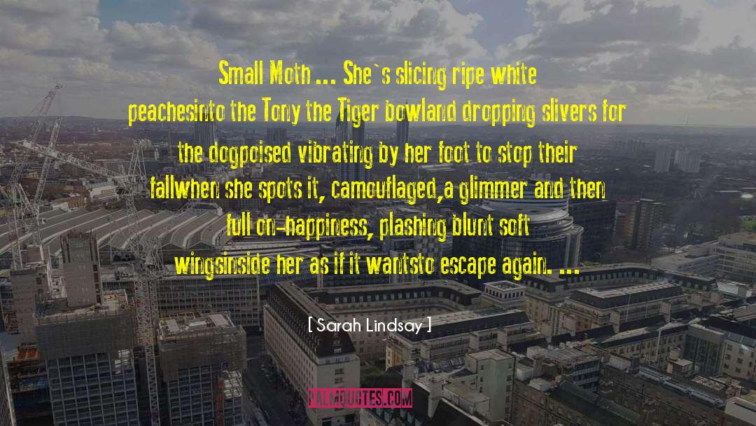 Sarah Lindsay Quotes: Small Moth ... <br>She's slicing