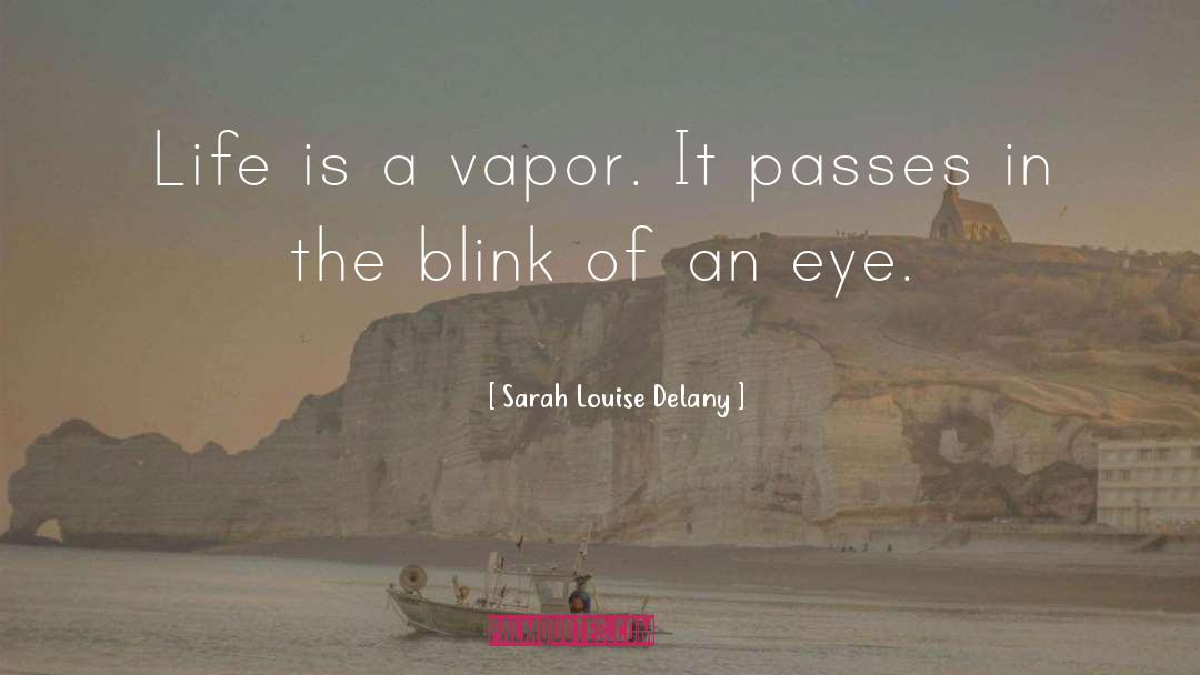 Sarah Louise Delany Quotes: Life is a vapor. It