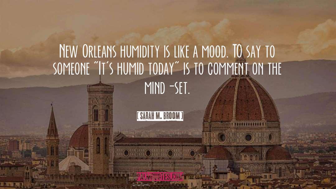Sarah M. Broom Quotes: New Orleans humidity is like