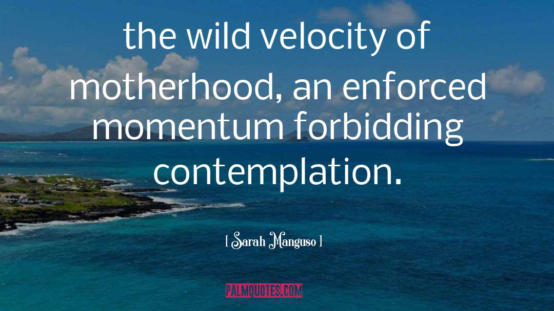 Sarah Manguso Quotes: the wild velocity of motherhood,