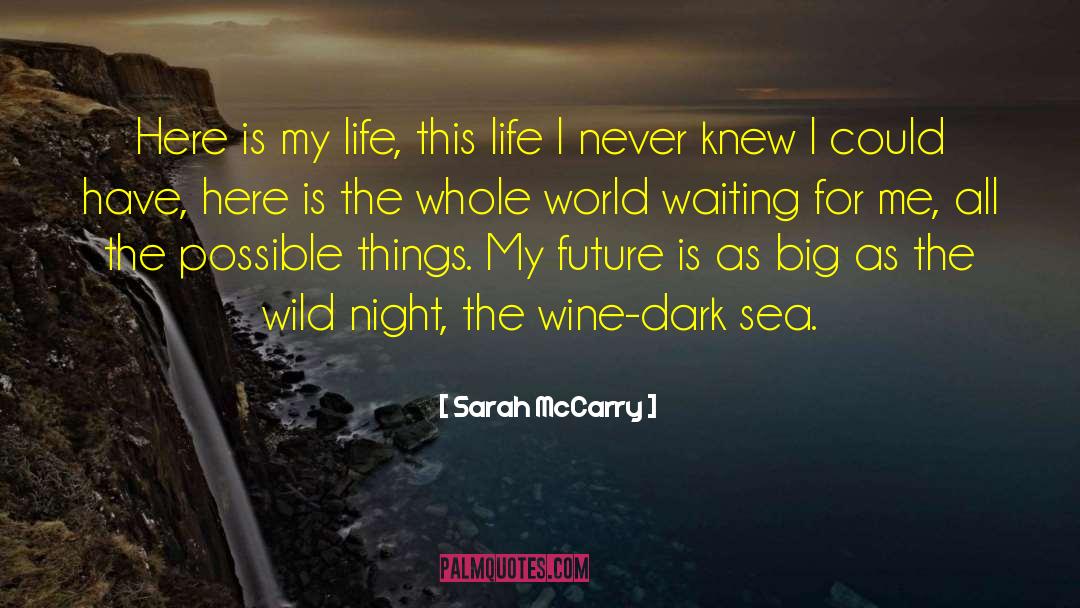 Sarah McCarry Quotes: Here is my life, this