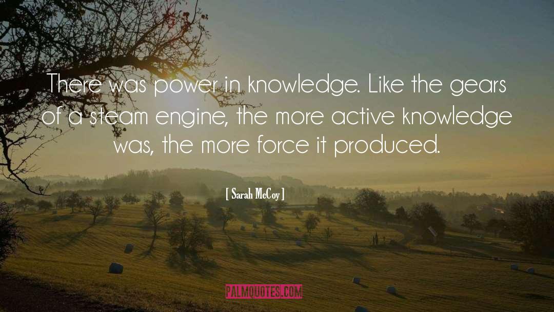 Sarah McCoy Quotes: There was power in knowledge.