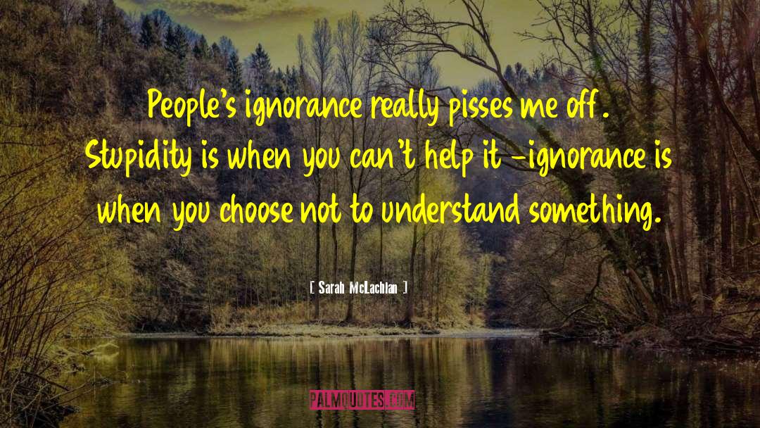 Sarah McLachlan Quotes: People's ignorance really pisses me