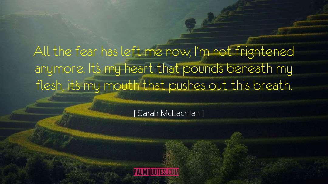 Sarah McLachlan Quotes: All the fear has left