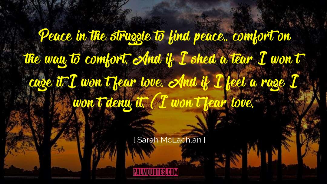 Sarah McLachlan Quotes: Peace in the struggle to