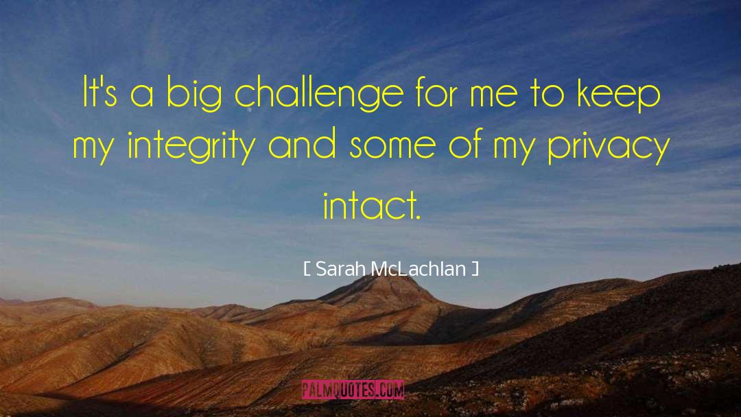 Sarah McLachlan Quotes: It's a big challenge for