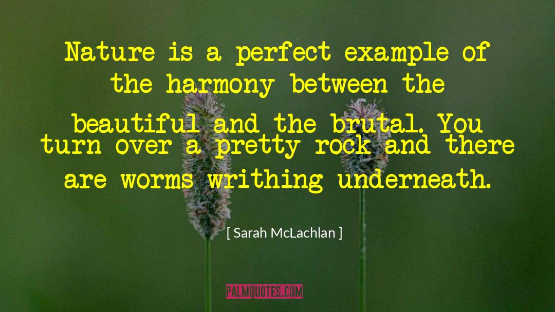 Sarah McLachlan Quotes: Nature is a perfect example