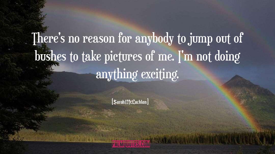 Sarah McLachlan Quotes: There's no reason for anybody