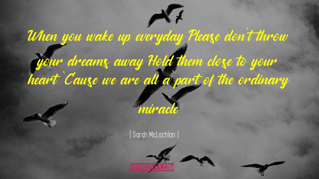 Sarah McLachlan Quotes: When you wake up everyday