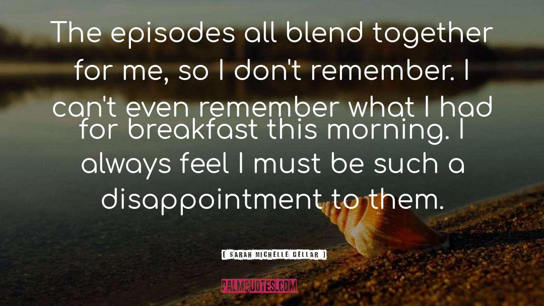 Sarah Michelle Gellar Quotes: The episodes all blend together