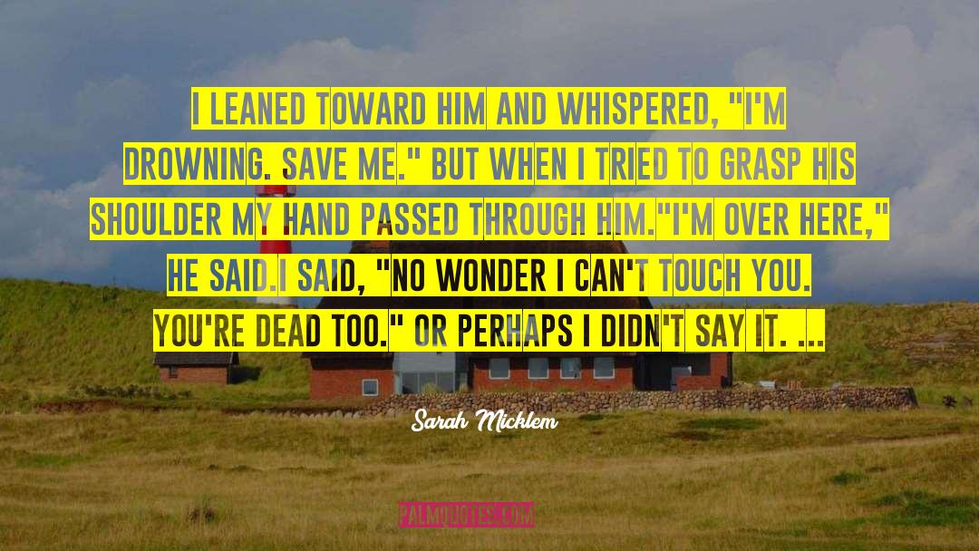 Sarah Micklem Quotes: I leaned toward him and