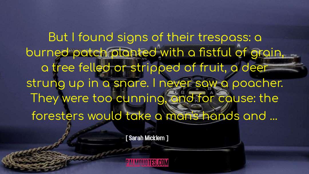 Sarah Micklem Quotes: But I found signs of