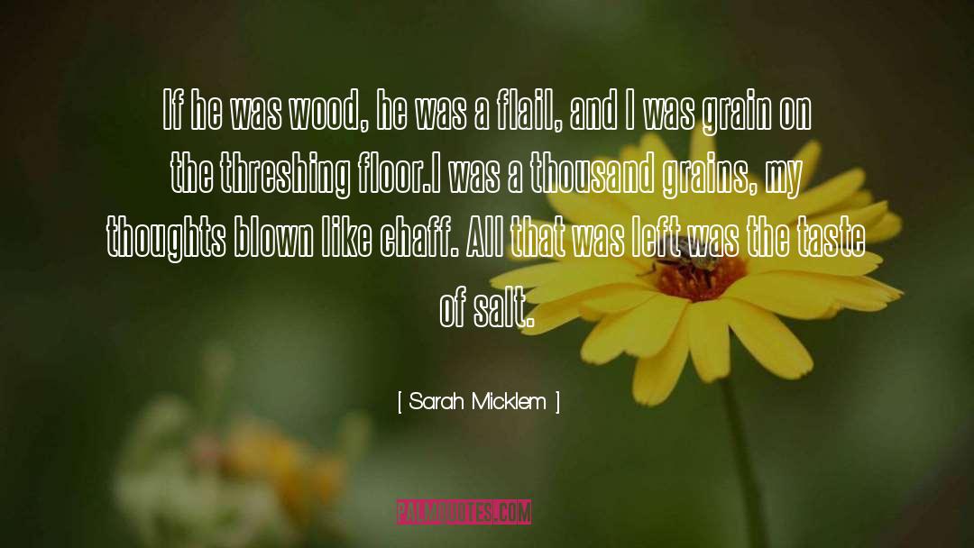 Sarah Micklem Quotes: If he was wood, he