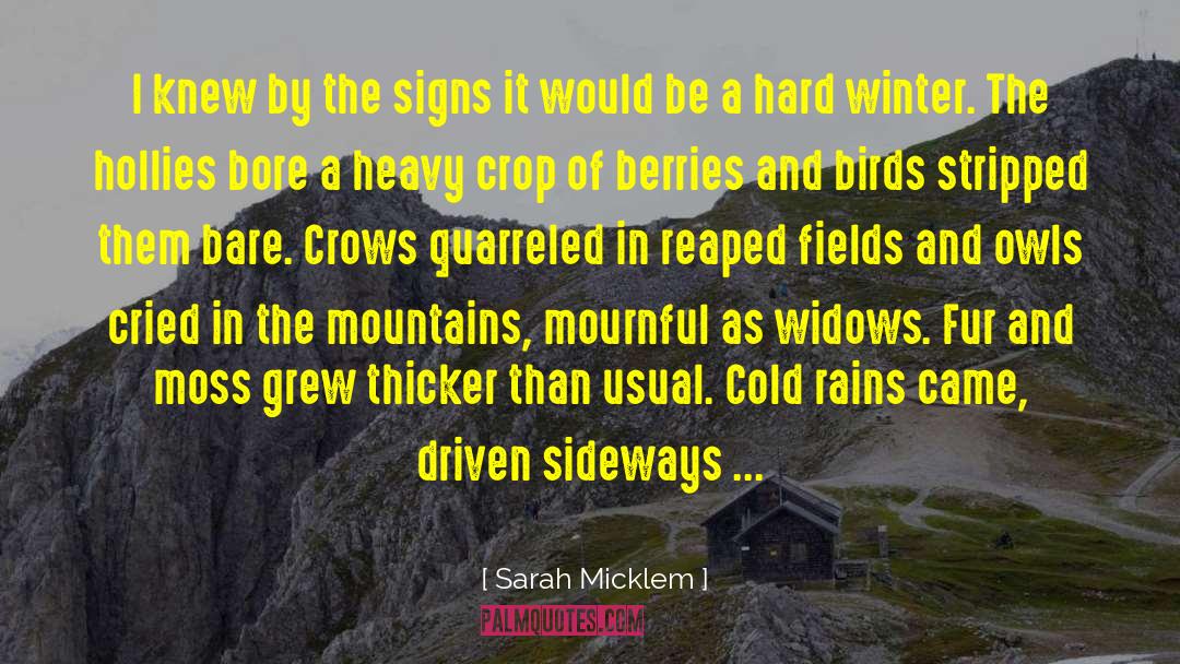 Sarah Micklem Quotes: I knew by the signs