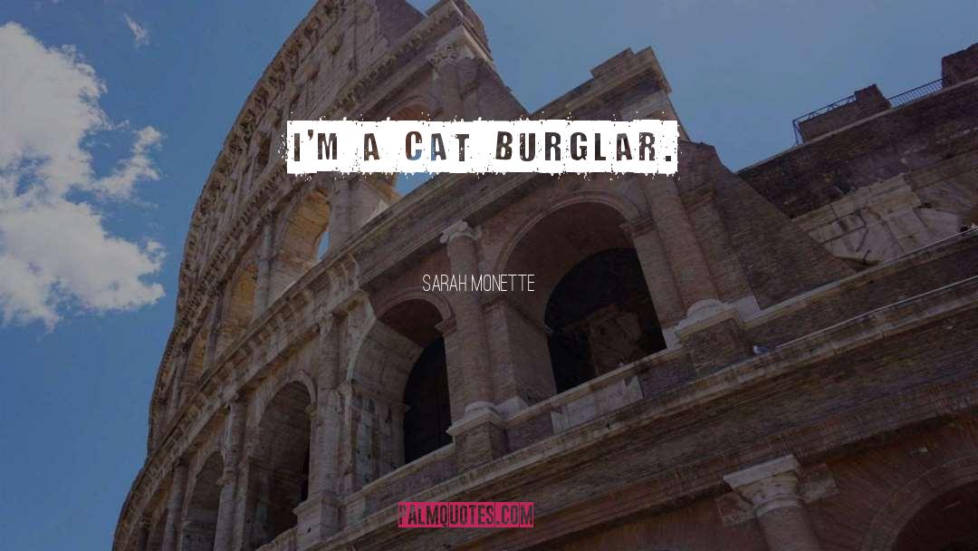 Sarah Monette Quotes: I'm a cat burglar.