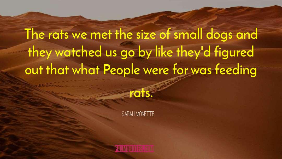 Sarah Monette Quotes: The rats we met the