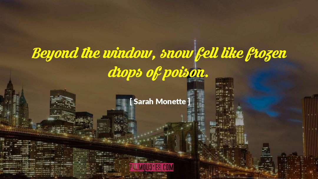 Sarah Monette Quotes: Beyond the window, snow fell