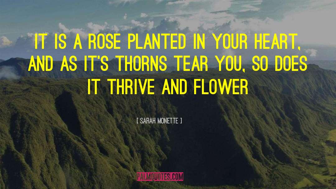 Sarah Monette Quotes: It is a rose planted