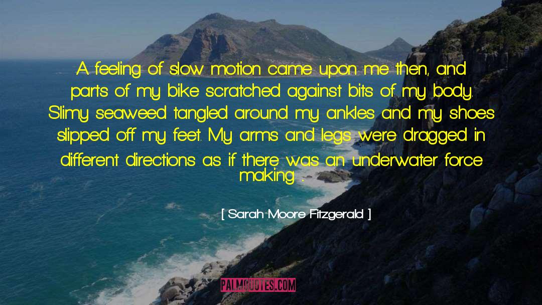 Sarah Moore Fitzgerald Quotes: A feeling of slow motion