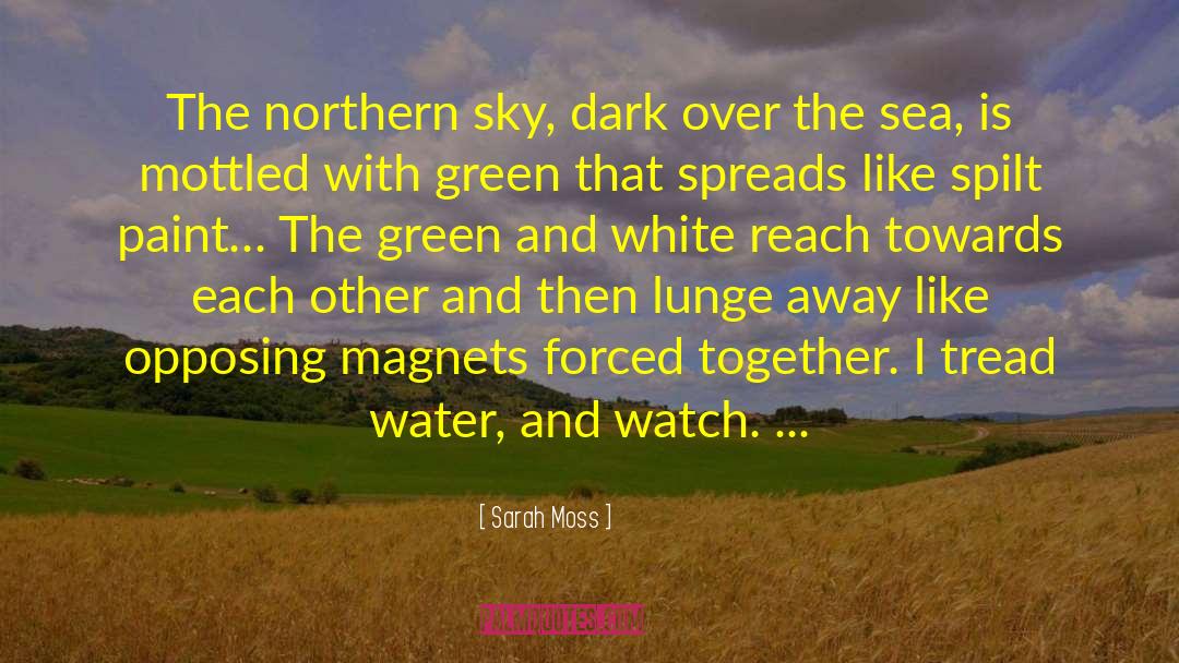 Sarah Moss Quotes: The northern sky, dark over