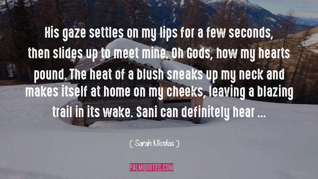 Sarah Nicolas Quotes: His gaze settles on my