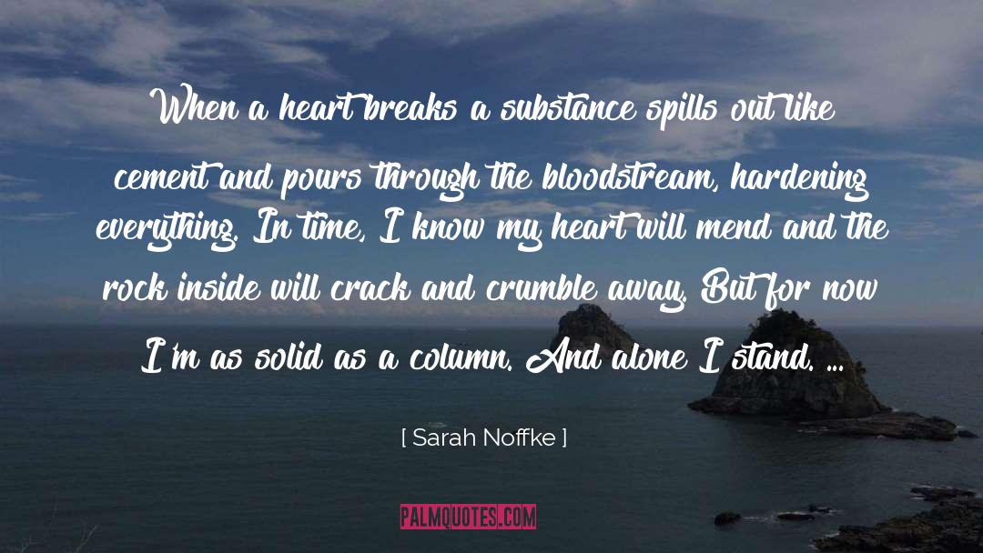 Sarah Noffke Quotes: When a heart breaks a