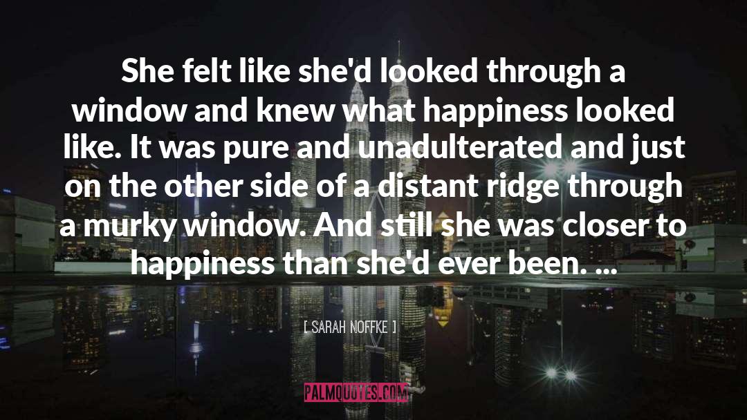 Sarah Noffke Quotes: She felt like she'd looked
